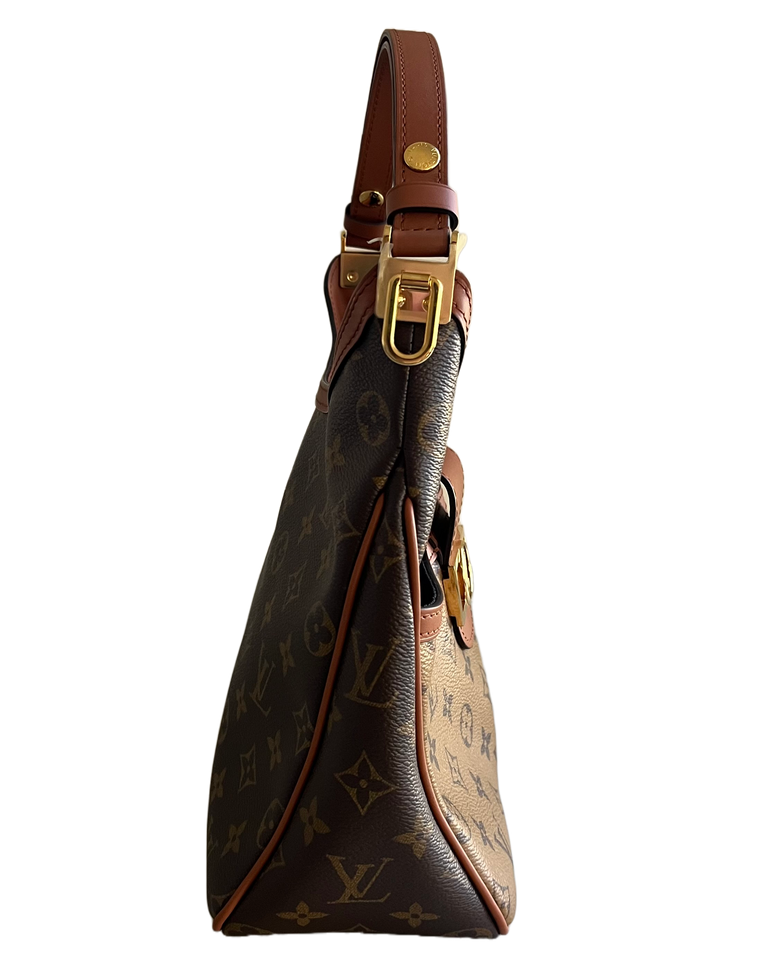 Louis Vuitton Dauphine Hobo PM Reverse Monogram