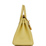 Hermes Birkin 25 Jaune Poussin Togo Gold Hardware