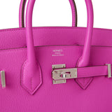 Hermes Birkin 25 Magnolia Verso Novillo Palladium Hardware