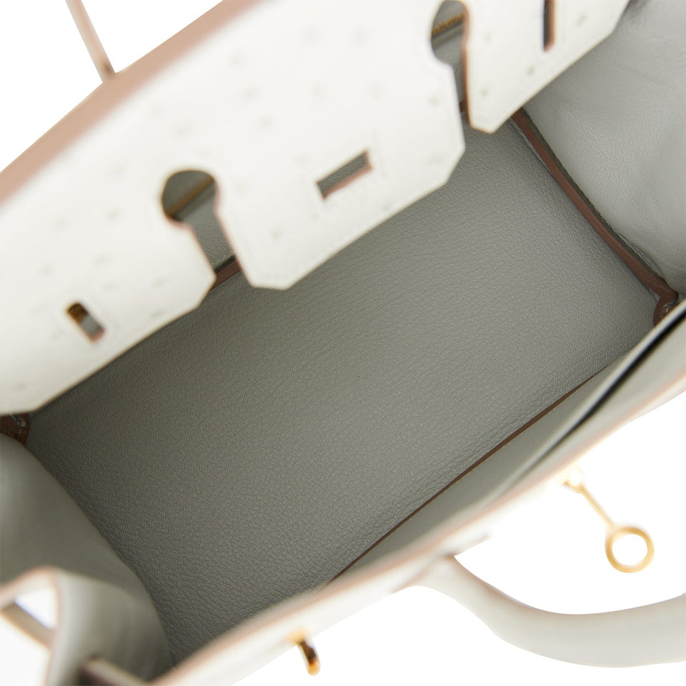 Hermes Birkin 25 Gris Perle Ostrich Gold Hardware