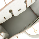 Hermes Birkin 25 Gris Perle Ostrich Gold Hardware