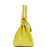 Hermes Birkin 30 Lime Epsom Gold Hardware