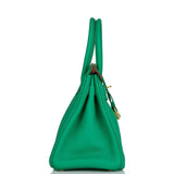 Hermes Birkin 30 Menthe Clemence Gold Hardware - Payment 5 for CD
