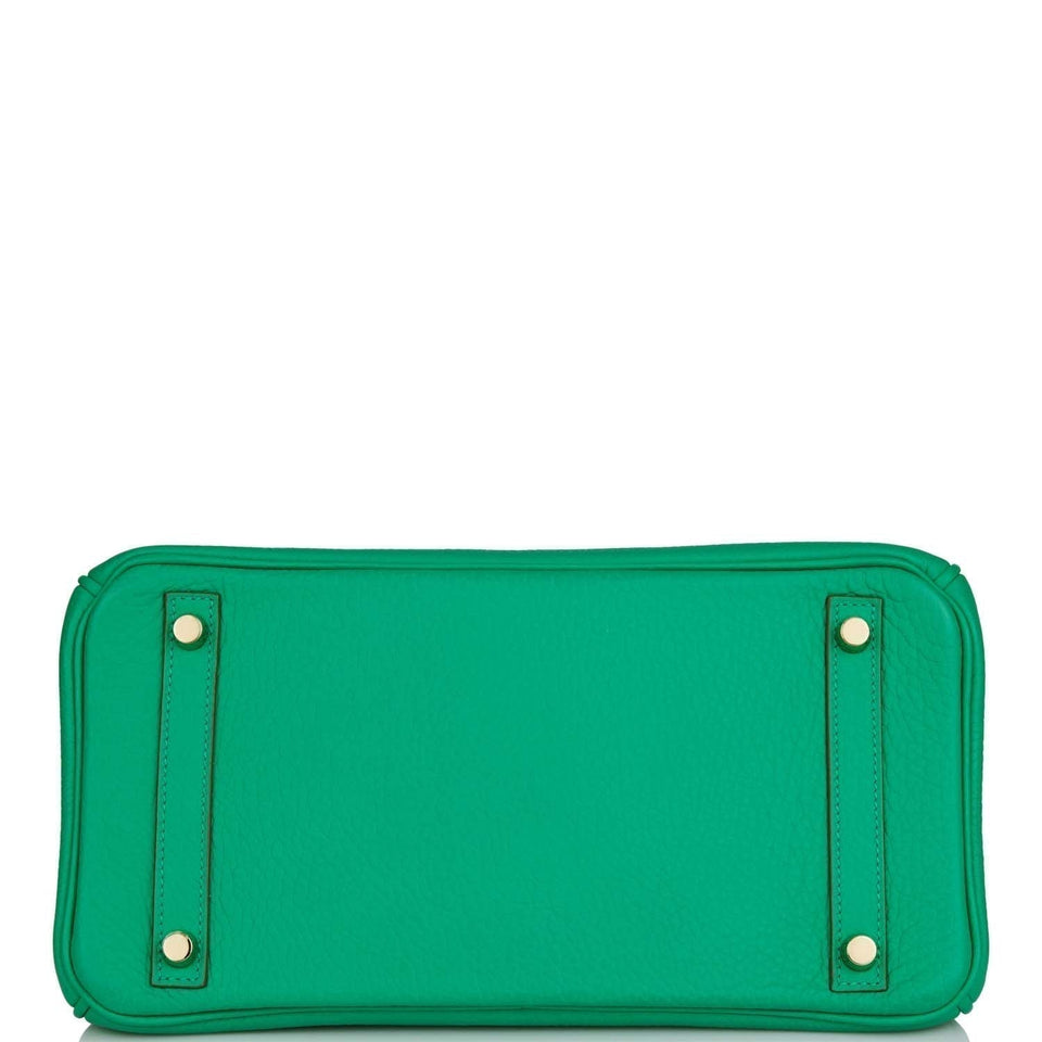 Hermes Birkin 30 Menthe Clemence Gold Hardware - Payment 4 for CD