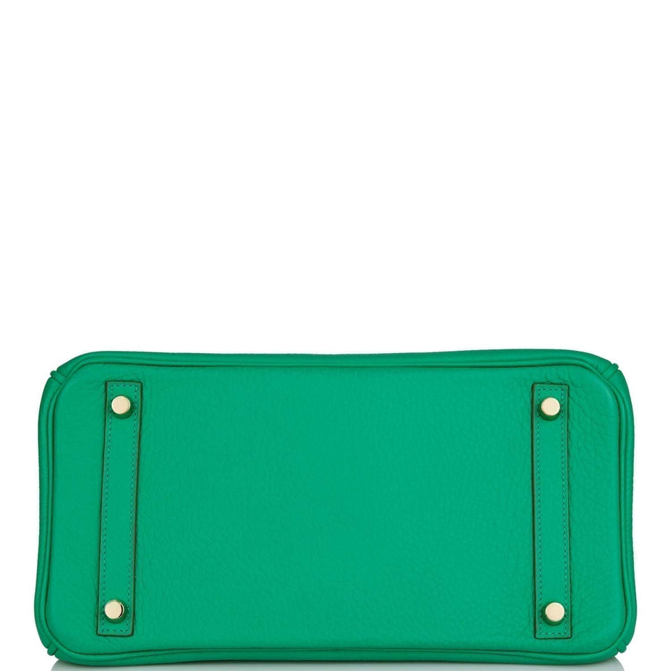 Hermes Birkin 30 Menthe Clemence Gold Hardware - Payment 5 for CD