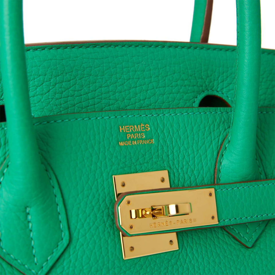 Hermes Birkin 30 Menthe Clemence Gold Hardware - Payment 5 for CD