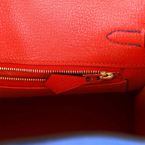 Hermes Special Order (HSS) Birkin 25 Bleu Electric Verso Togo Brushed Gold Hardware