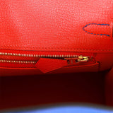 Hermes Special Order (HSS) Birkin 25 Bleu Electric Verso Togo Brushed Gold Hardware