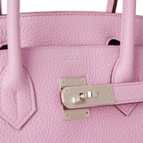 Hermes Birkin 30 Mauve Sylvestre Clemence Palladium Hardware
