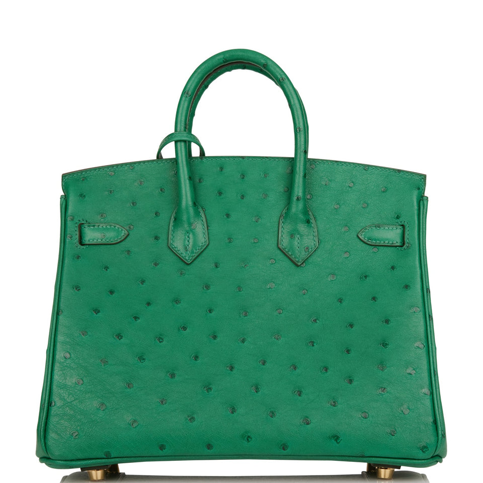 Hermes Special Order (HSS) Birkin 25 Vert Vertigo Verso Ostrich Gold Hardware