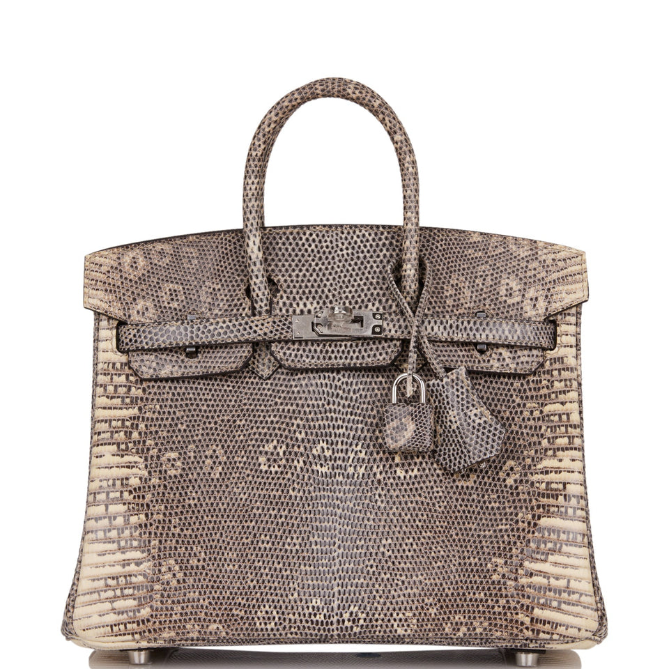 Hermes Birkin 25 Ombre Shiny Salvator Lizard Palladium Hardware