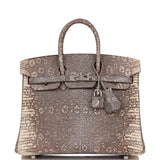 Hermes Birkin 25 Ombre Shiny Salvator Lizard Palladium Hardware