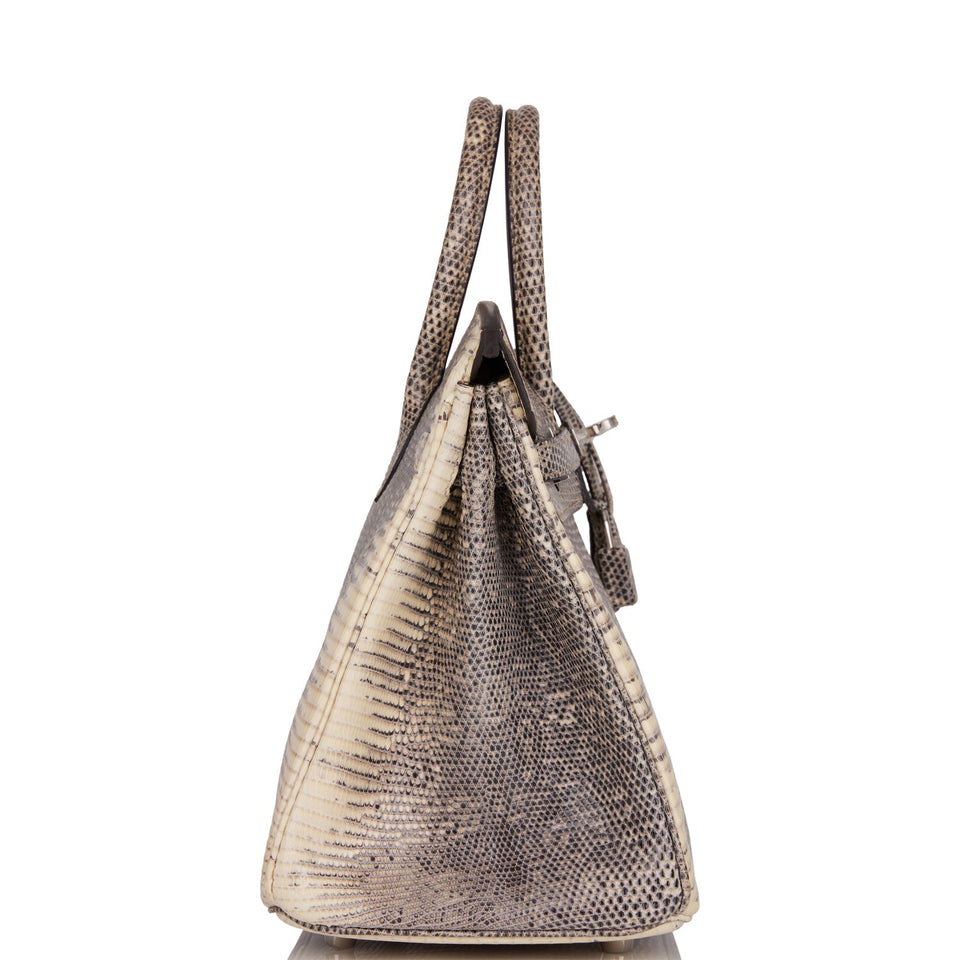 Hermes Birkin 25 Ombre Shiny Salvator Lizard Palladium Hardware
