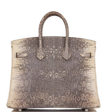 Hermes Birkin 25 Ombre Shiny Salvator Lizard Palladium Hardware