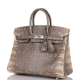 Hermes Birkin 25 Ombre Shiny Salvator Lizard Palladium Hardware