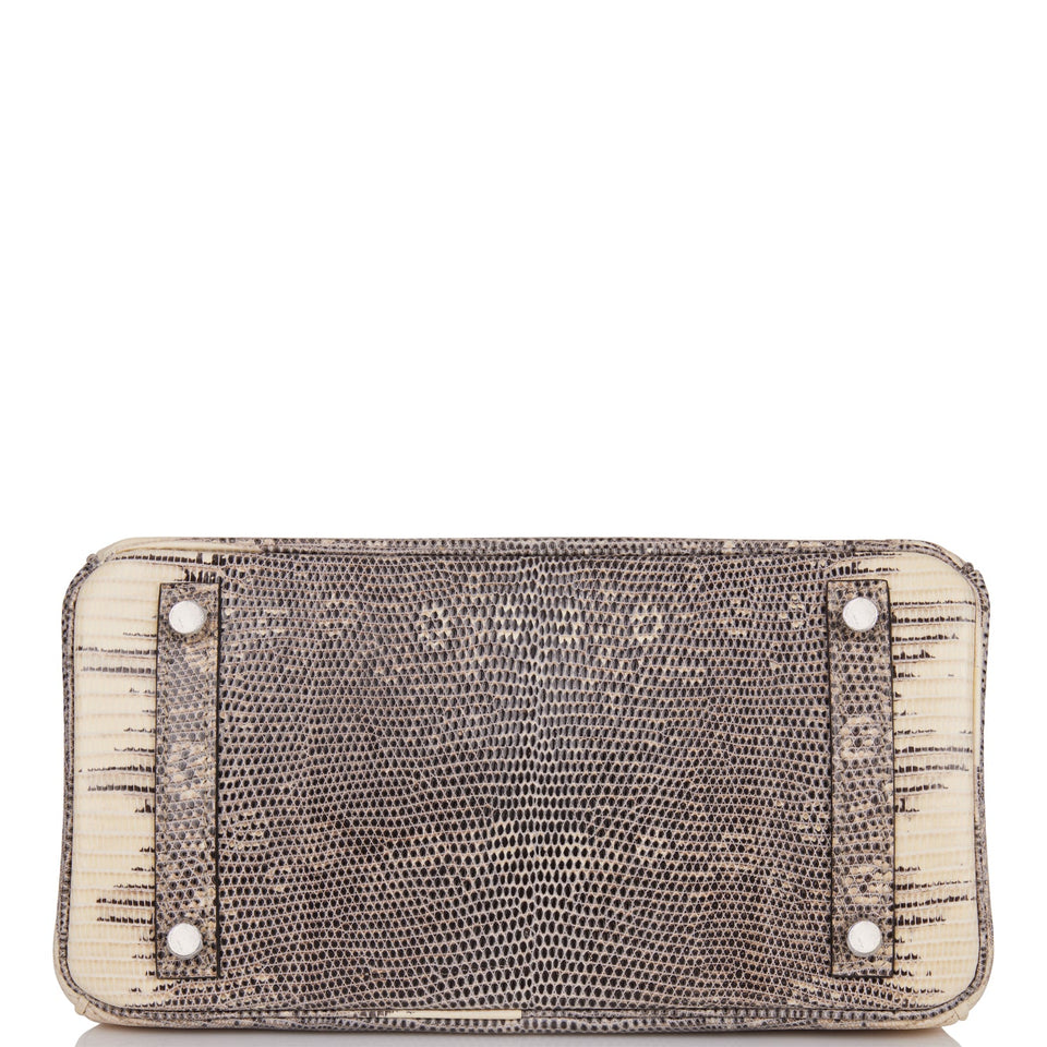 Hermes Birkin 25 Ombre Shiny Salvator Lizard Palladium Hardware