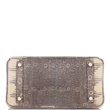 Hermes Birkin 25 Ombre Shiny Salvator Lizard Palladium Hardware