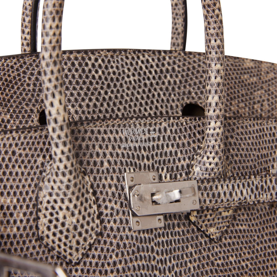 Hermes Birkin 25 Ombre Shiny Salvator Lizard Palladium Hardware