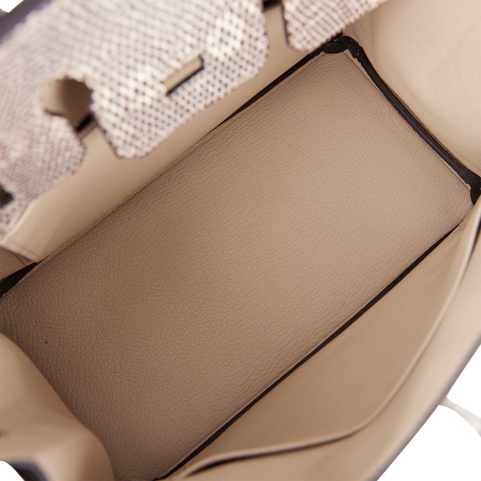 Hermes Birkin 25 Ombre Shiny Salvator Lizard Palladium Hardware