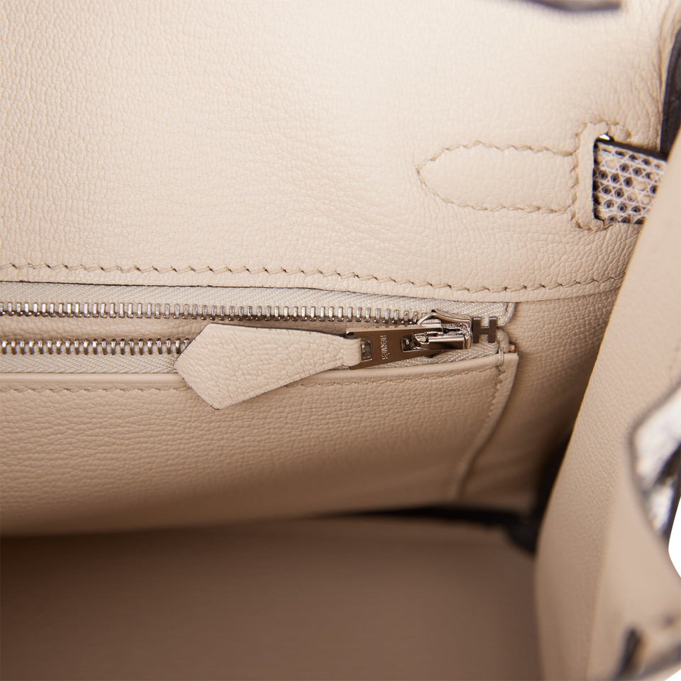Hermes Birkin 25 Ombre Shiny Salvator Lizard Palladium Hardware
