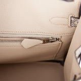 Hermes Birkin 25 Ombre Shiny Salvator Lizard Palladium Hardware