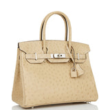 Hermes Birkin 30 Trench Ostrich Palladium Hardware