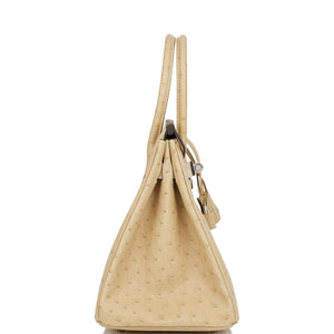 Hermes Birkin 30 Trench Ostrich Palladium Hardware