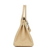 Hermes Birkin 30 Trench Ostrich Palladium Hardware