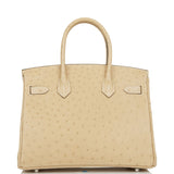 Hermes Birkin 30 Trench Ostrich Palladium Hardware