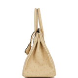 Hermes Birkin 30 Trench Ostrich Palladium Hardware