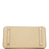 Hermes Birkin 30 Trench Ostrich Palladium Hardware