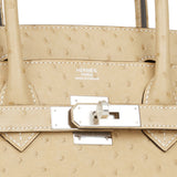 Hermes Birkin 30 Trench Ostrich Palladium Hardware