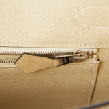 Hermes Birkin 30 Trench Ostrich Palladium Hardware