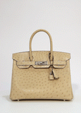 Hermes Birkin 30 Trench Ostrich Palladium Hardware