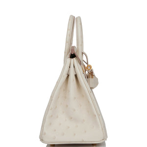 Hermes Birkin 25 Beton Ostrich Gold Hardware