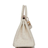 Hermes Birkin 25 Beton Ostrich Gold Hardware