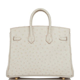 Hermes Birkin 25 Beton Ostrich Gold Hardware