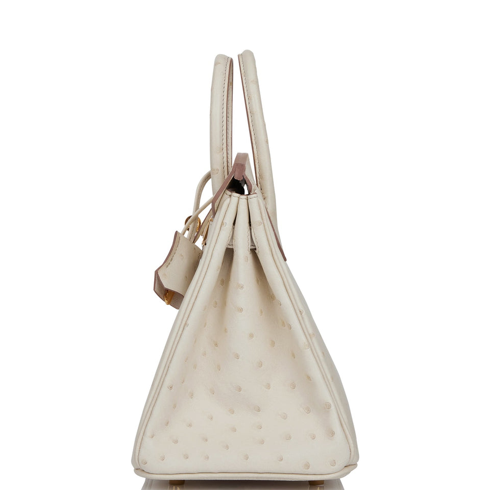 Hermes Birkin 25 Beton Ostrich Gold Hardware