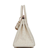 Hermes Birkin 25 Beton Ostrich Gold Hardware
