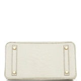 Hermes Birkin 25 Beton Matte Alligator Gold Hardware