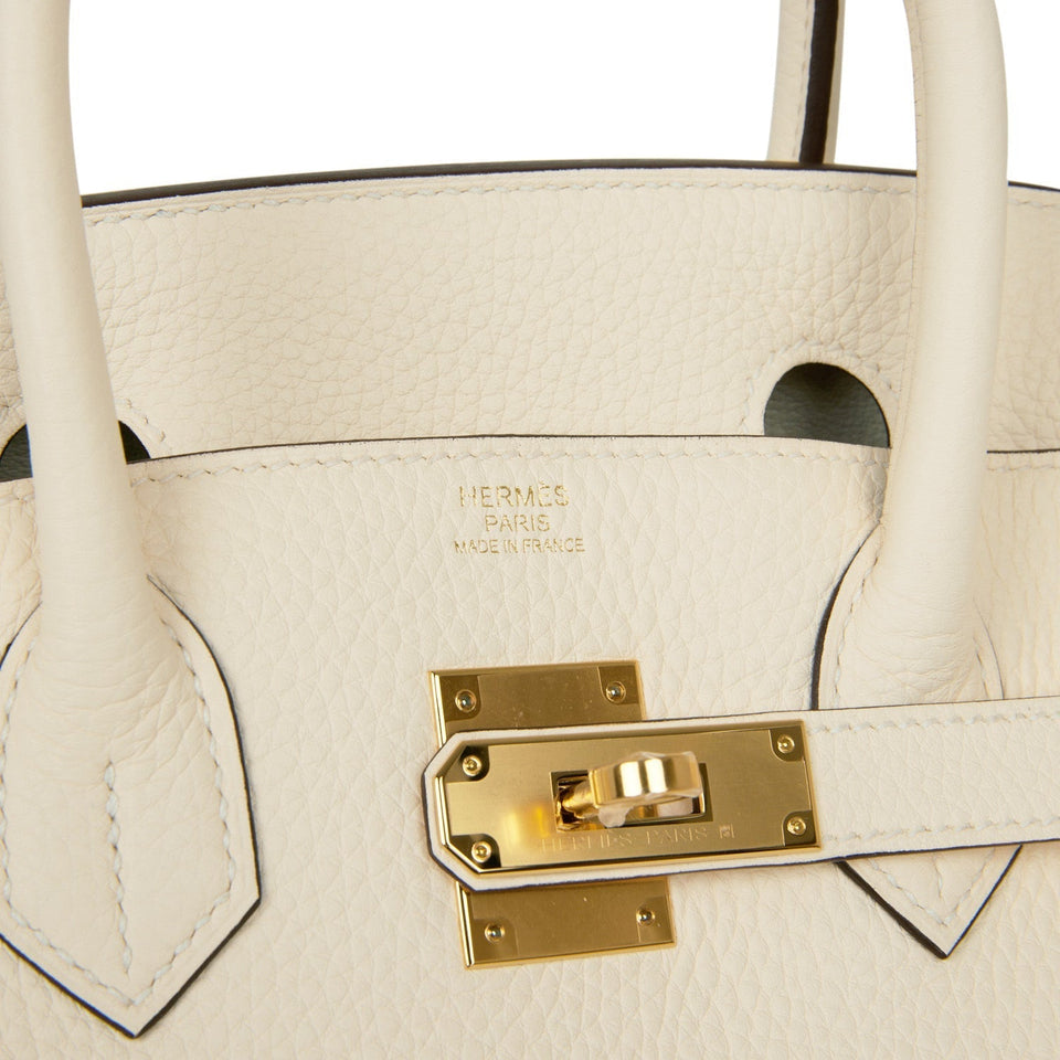 Hermes Birkin 30 Nata Clemence Gold Hardware