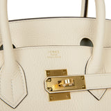 Hermes Birkin 30 Nata Clemence Gold Hardware