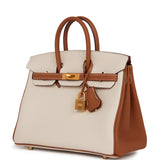 Hermes Special Order (HSS) Birkin 25 Craie and Gold Togo Brushed Gold Hardware