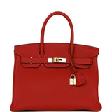 Hermes Birkin 30 Rouge Vif Togo Gold Hardware