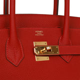 Hermes Birkin 30 Rouge Vif Togo Gold Hardware