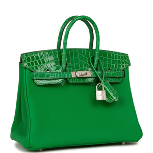 Hermes Birkin 25 Bambou Shiny Crocodile and Togo Touch Palladium Hardware