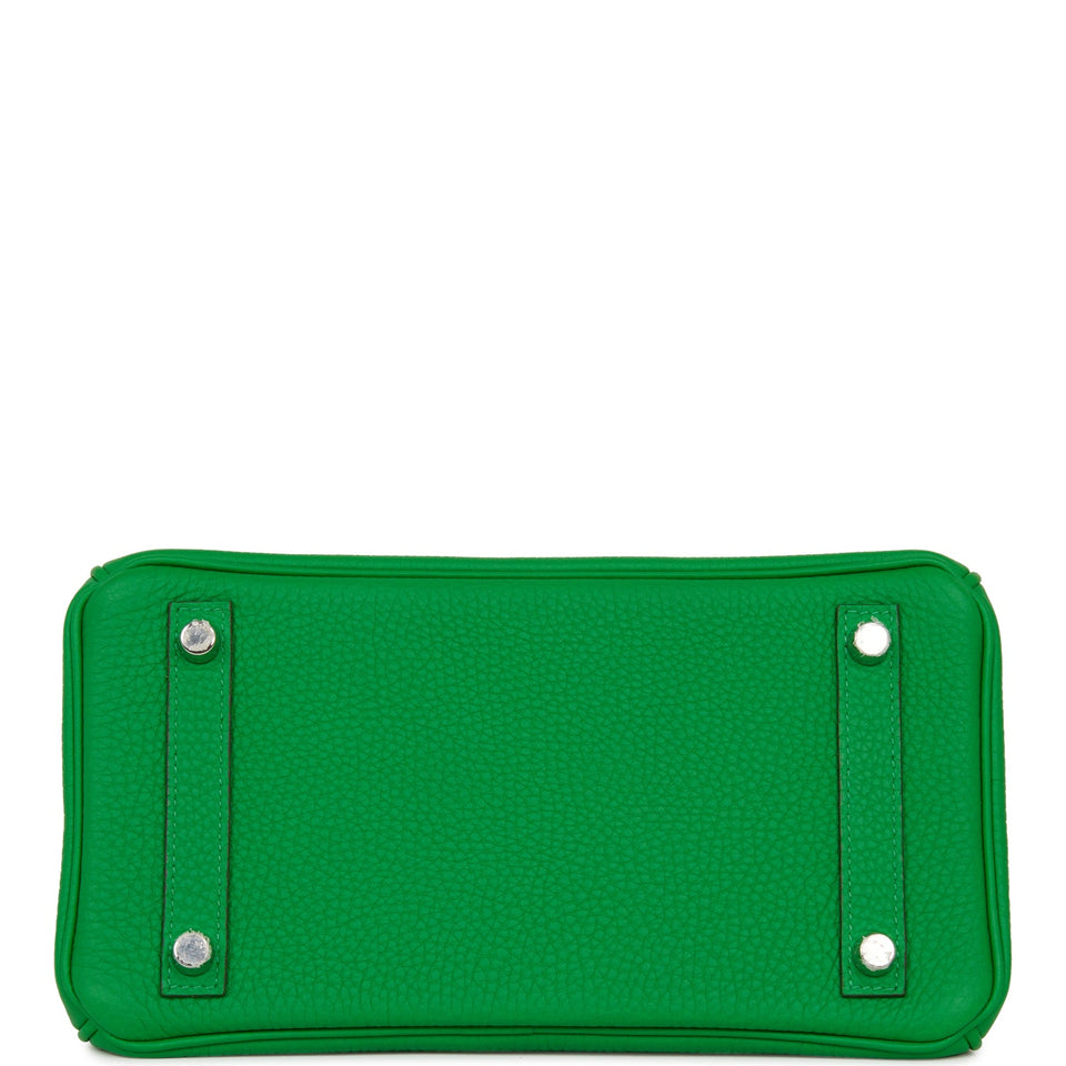 Hermes Birkin 25 Bambou Shiny Crocodile and Togo Touch Palladium Hardware