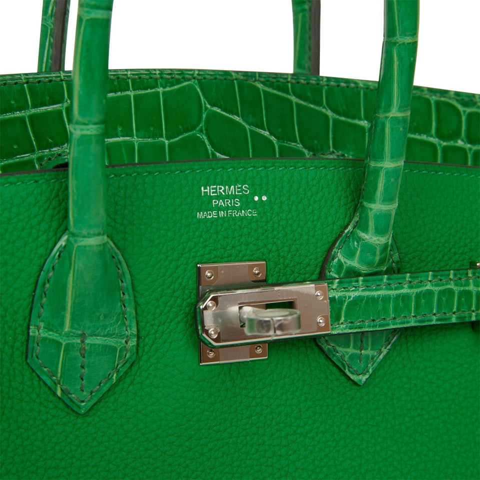 Hermes Birkin 25 Bambou Shiny Crocodile and Togo Touch Palladium Hardware