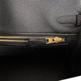 Hermes Birkin 25 Black Lizard Gold Hardware
