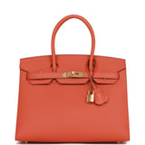 Hermes Birkin Sellier 30 Terre Battue Epsom Gold Hardware